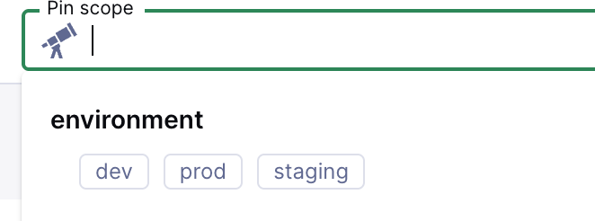 Pinned scopes page display
